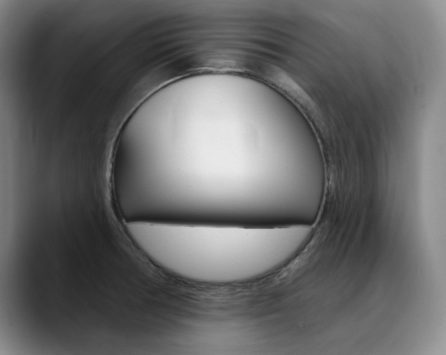 X0000090731378200707200947