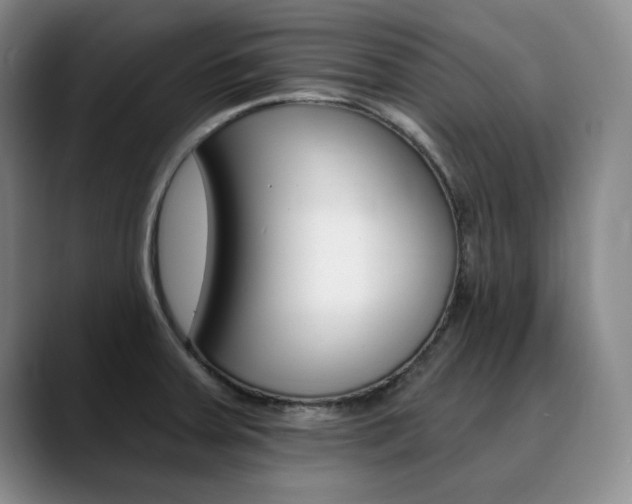 X0000090731379200707200947