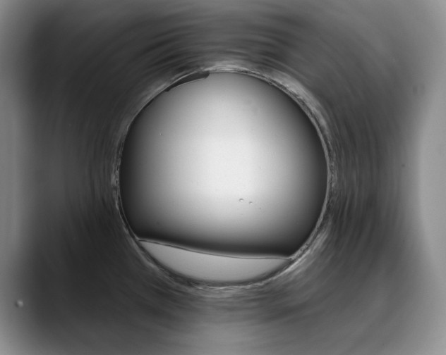 X0000090731385200707200947