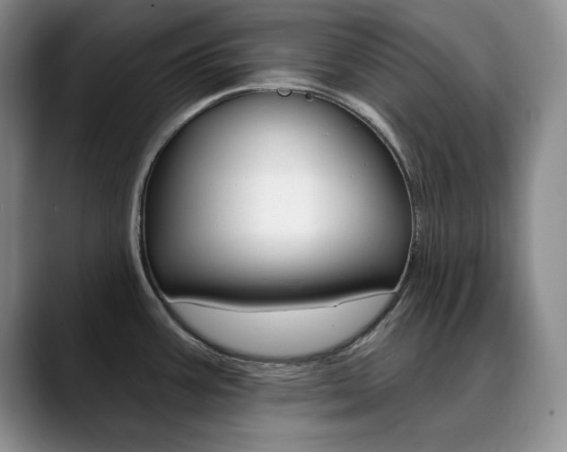X0000090731387200707200947
