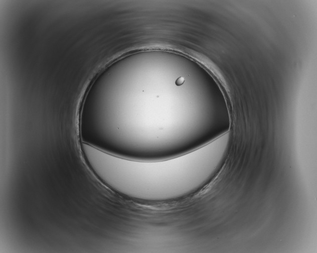 X0000090731388200707200947