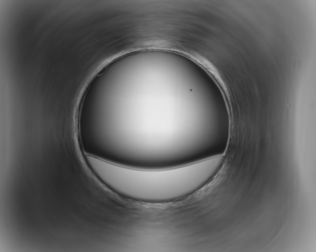 X0000090731389200707200947