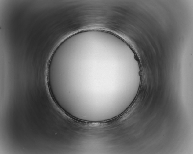 X0000090731390200707200947