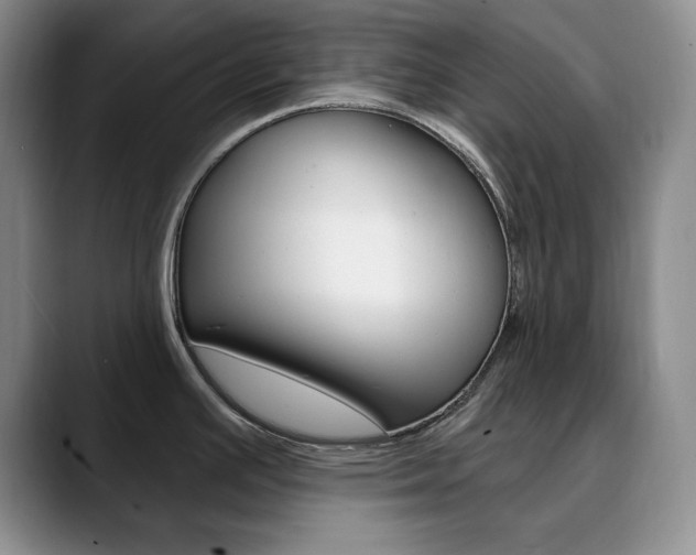 X0000090731391200707200947