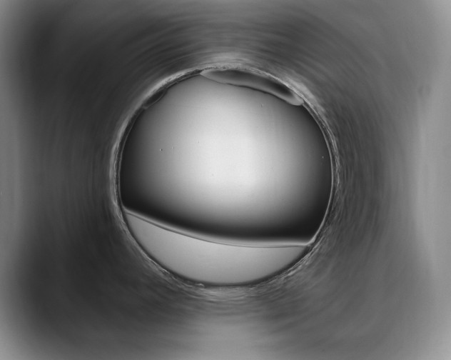 X0000090731392200707200947