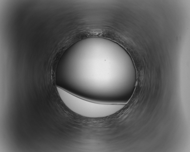 X0000090731394200707200947