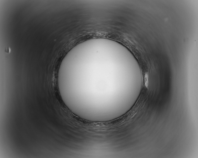X0000090731395200707200947