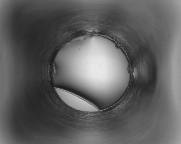 X0000090731396200707200947