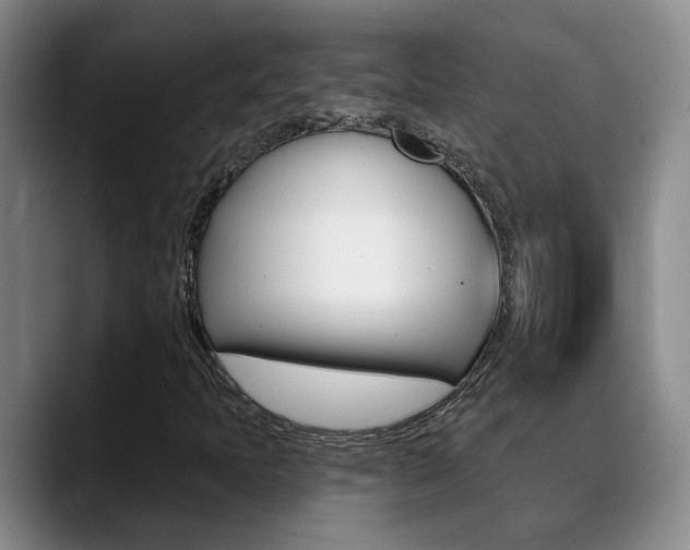 X0000090731397200707200947