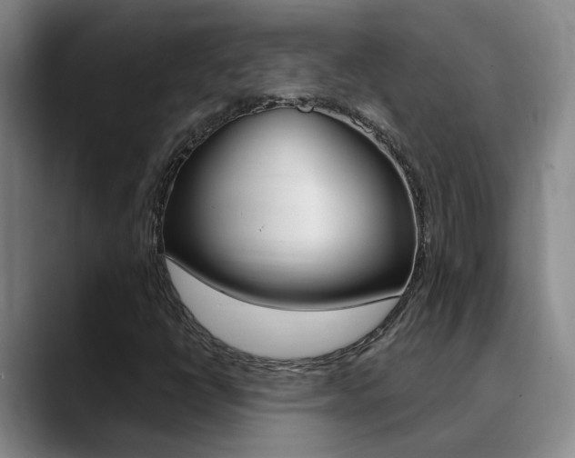 X0000090731398200707200947