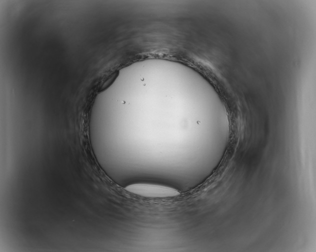 X0000090731399200707200947