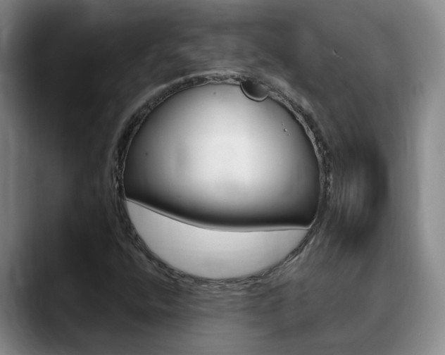 X0000090731400200707200947