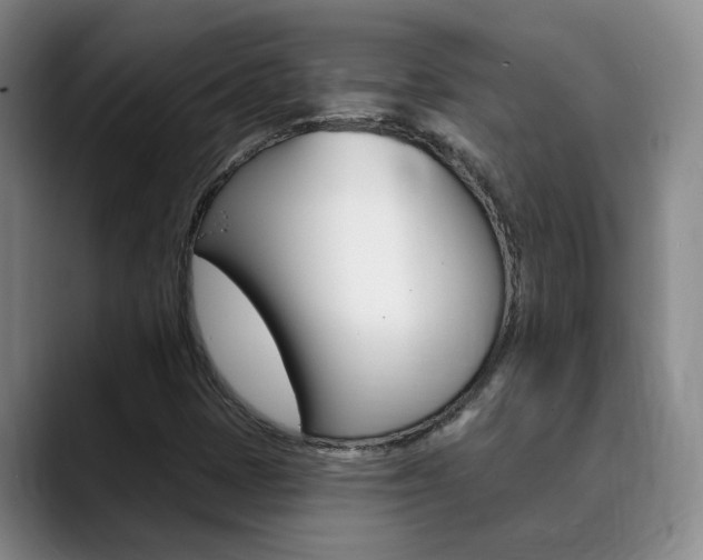 X0000090731401200707200947