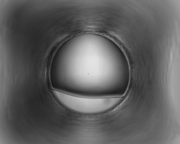 X0000090731402200707200947