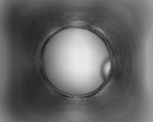 X0000090731405200707200947