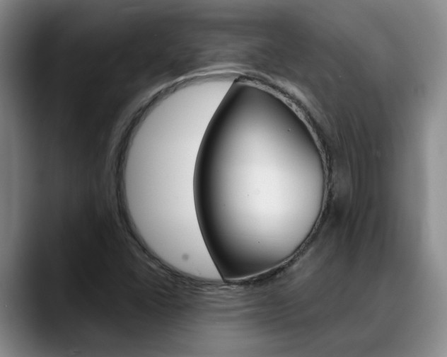 X0000090731406200707200947