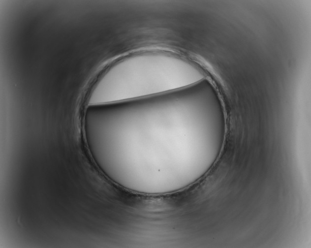 X0000090731408200707200947