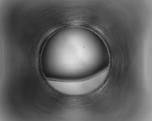 X0000090731410200707200947
