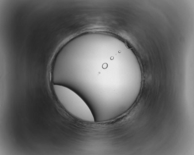 X0000090731413200707200947