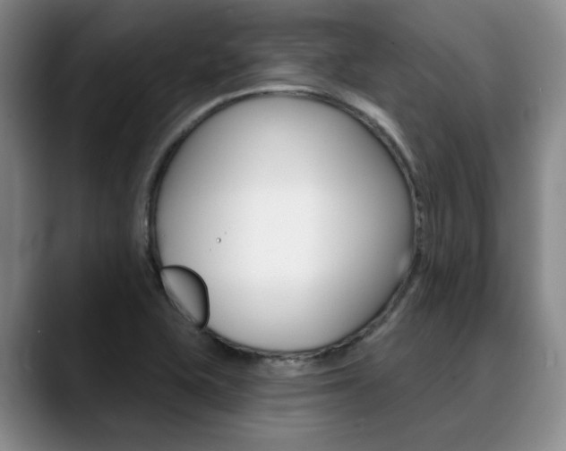 X0000090731415200707200947