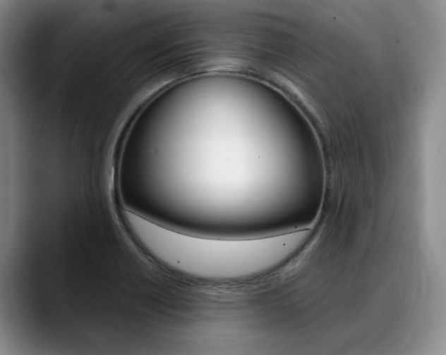 X0000090731418200707200947