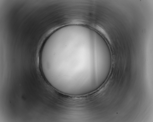 X0000090731419200707200947
