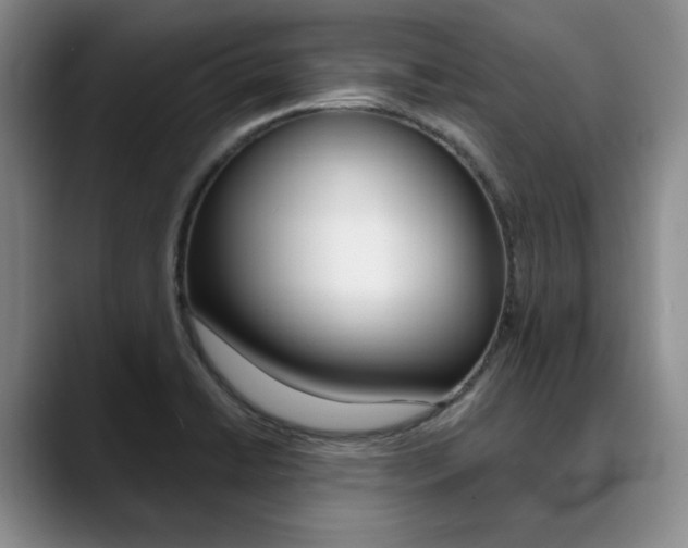 X0000090731422200707200947
