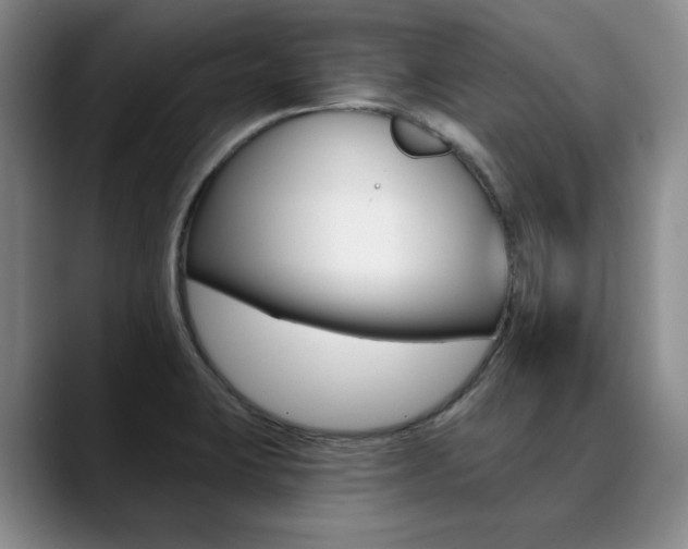 X0000090731423200707200947