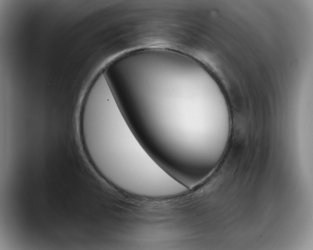 X0000090731424200707200947