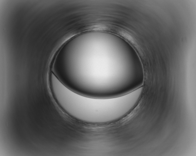 X0000090731426200707200947