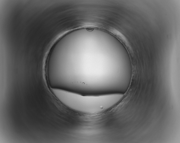 X0000090731427200707200947