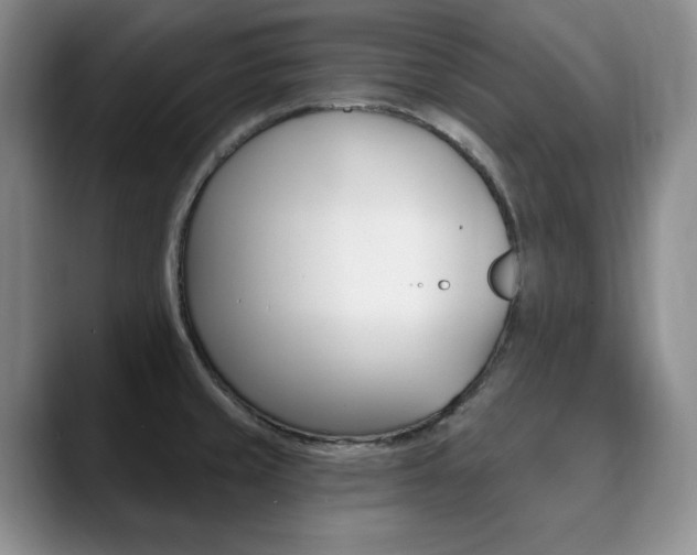 X0000090731429200707200947