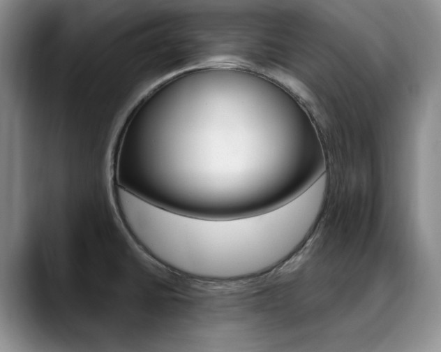 X0000090731430200707200947