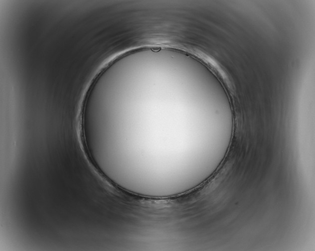 X0000090731432200707200947