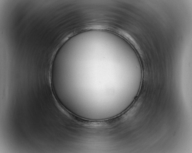 X0000090731433200707200947