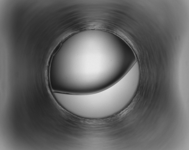 X0000090731434200707200947