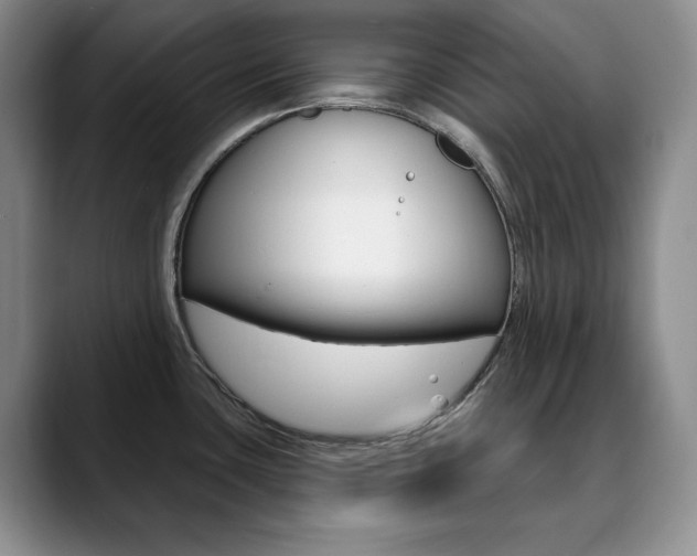 X0000090731435200707200947