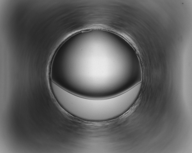 X0000090731438200707200947