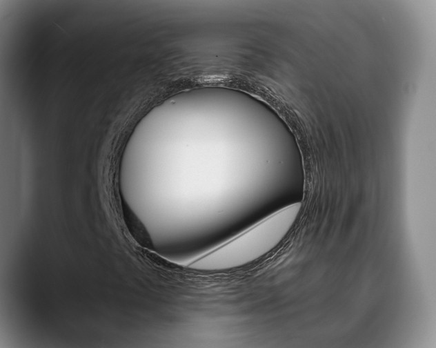 X0000090731441200707200947