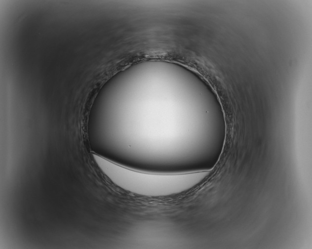 X0000090731445200707200947