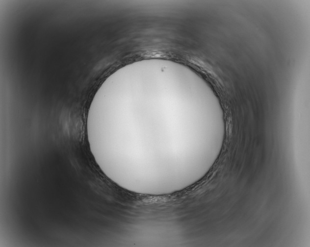 X0000090731446200707200947