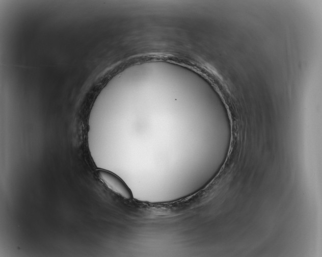 X0000090731448200707200947