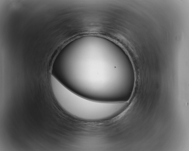 X0000090731449200707200947