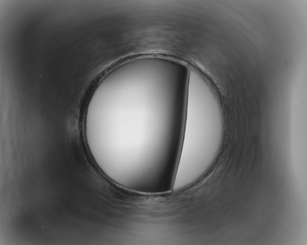 X0000090731452200707200947