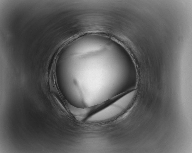 X0000090731457200707200946