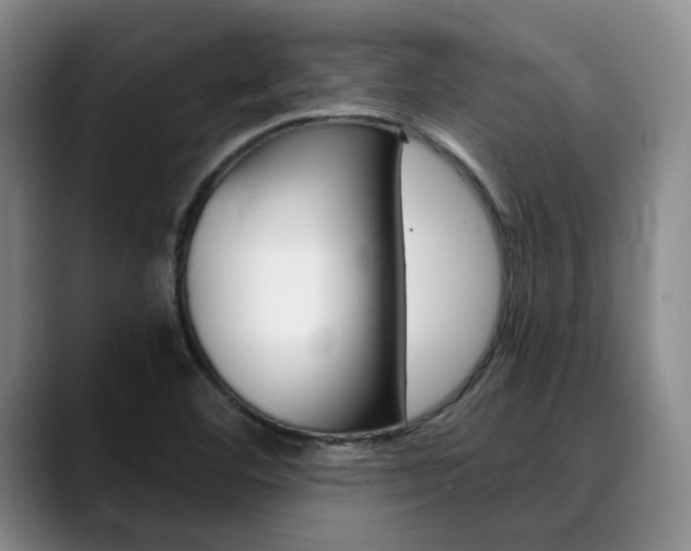 X0000090731460200707200946