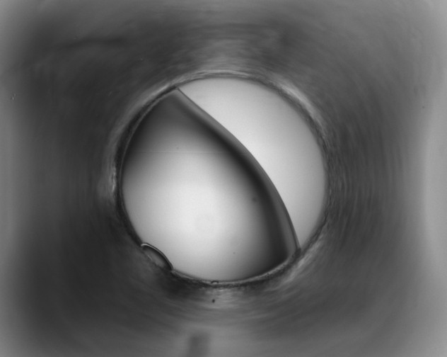 X0000090731461200707200946