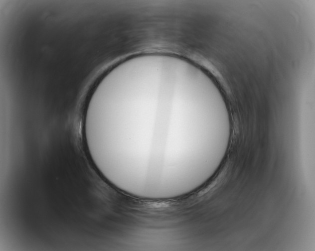 X0000090731462200707200946