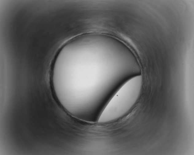X0000090731463200707200946