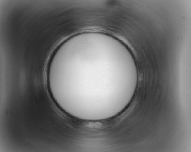 X0000090731466200707200946